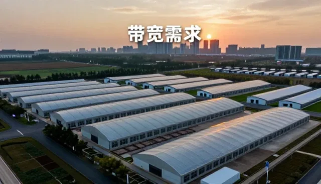 带宽限制对网站性能的影响及应对策略
